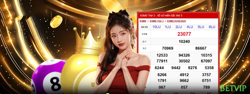 Controles de paJogonto e BRL em betvip